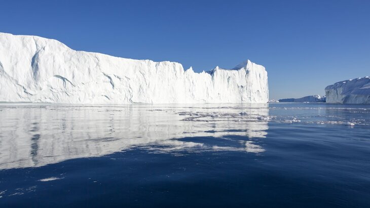 Ученые спрогнозировали вымирание почти всех животных в Антарктиде к 2100 году