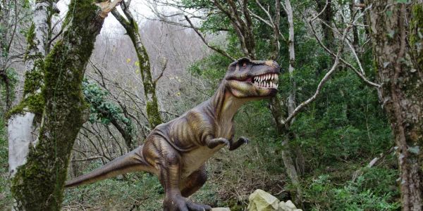 Ученые своими открытиями в 2022 году пролили свет на историю