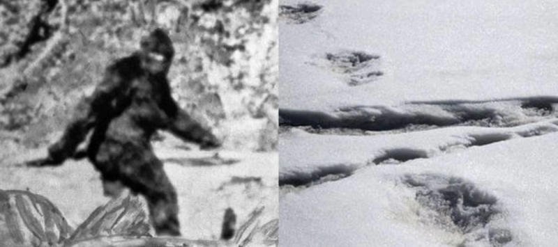 Дата-сайнтист раскрыл тайну йети