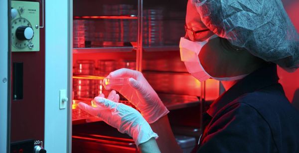 "Дети из инкубатора". Ждать ли нам появления искусственной матки?