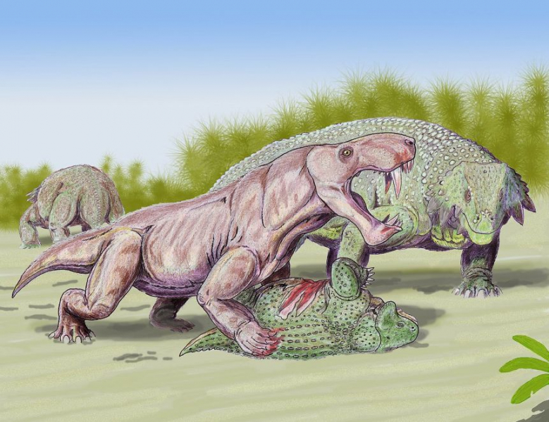 Древние растения вырабатывали вещества для защиты от солнца