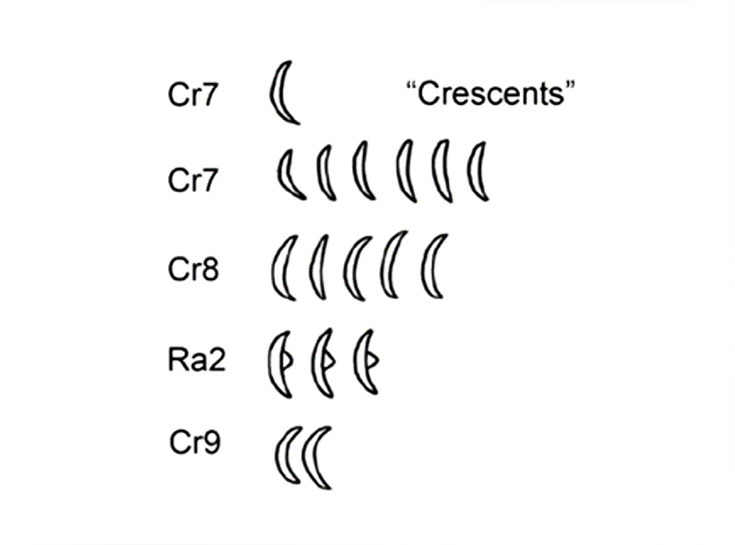 Как российский лингвист расшифровал письменность острова Пасхи