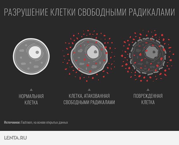 Как за 2022 год изменилась мировая медицина?