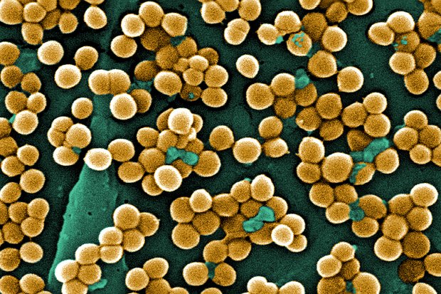 Как за 2022 год изменилась мировая медицина?