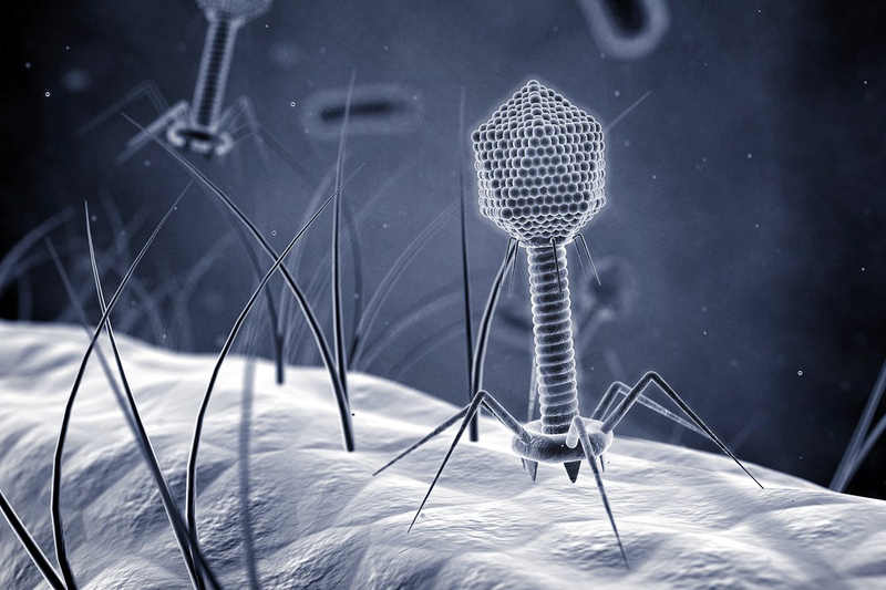 Как за 2022 год изменилась мировая медицина?