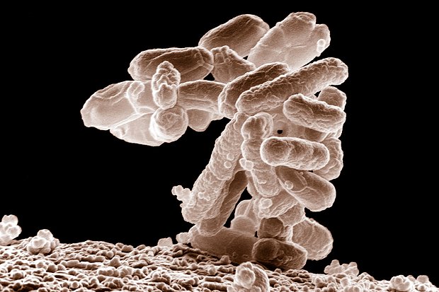 Как за 2022 год изменилась мировая медицина?