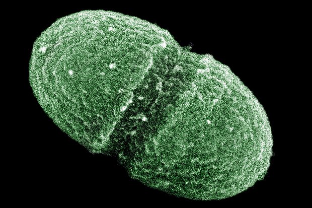 Как за 2022 год изменилась мировая медицина?