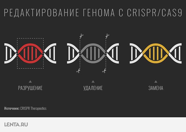 Как за 2022 год изменилась мировая медицина?