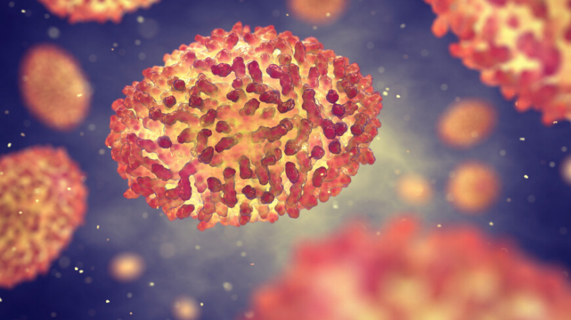 Ученые выяснили, что вирус оспы впервые возник в эпоху Древнего Египта