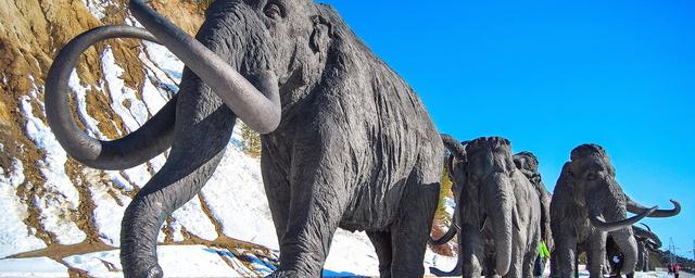 Возрождение древних животных — насколько это реально и чем может обернуться