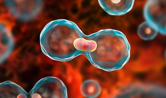 Американец, у которого диагностировали редкую форму рака, внезапно заговорил с ирландским акцентом