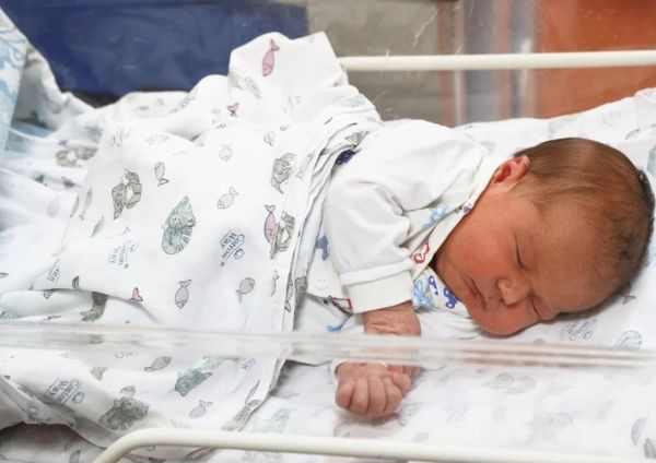 Демограф: человечество перестанет воспроизводиться через 10 лет