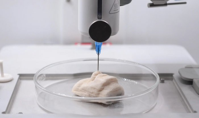 Новый композитный материал для 3D-печати идеально имитирует кости, кораллы и мрамор