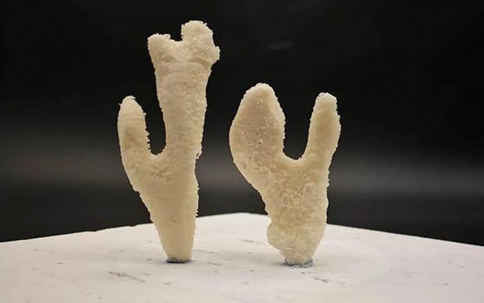 Новый композитный материал для 3D-печати идеально имитирует кости, кораллы и мрамор