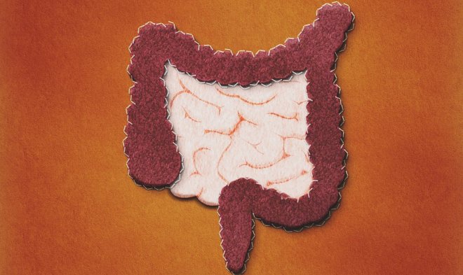 Ученые предупреждают: микрофлора человеческого тела вымирает — и это несет большие проблемы