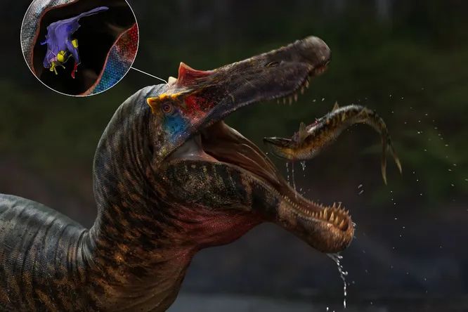 Ученые реконструировали мозг древнейшего спинозавра