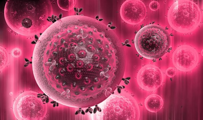 В Германии зафиксировали третий в истории случай излечения от ВИЧ