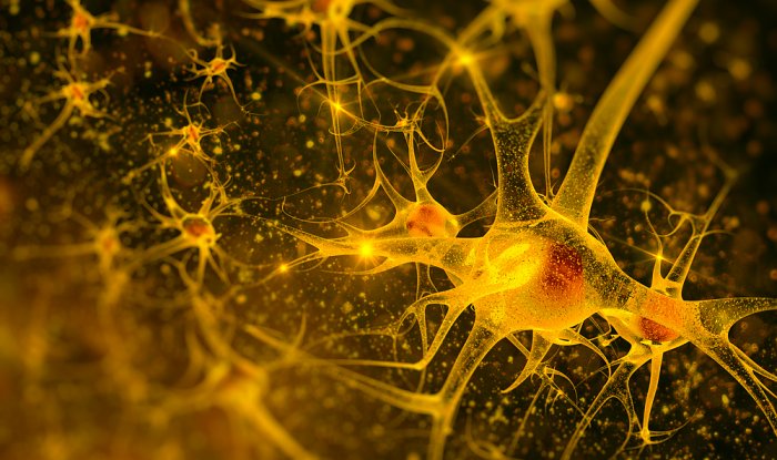 В Китае у 19-летнего юноши диагностировали болезнь Альцгеймера