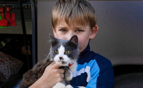 В Купянске объявлена эвакуация детей и инвалидов - к городу приближаются российские войска