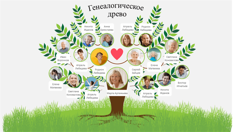 Генеалогическое древо