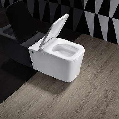 Как выбрать унитаз без бачка