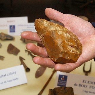 Обнаружено сходство между орудиями труда древних людей и макак