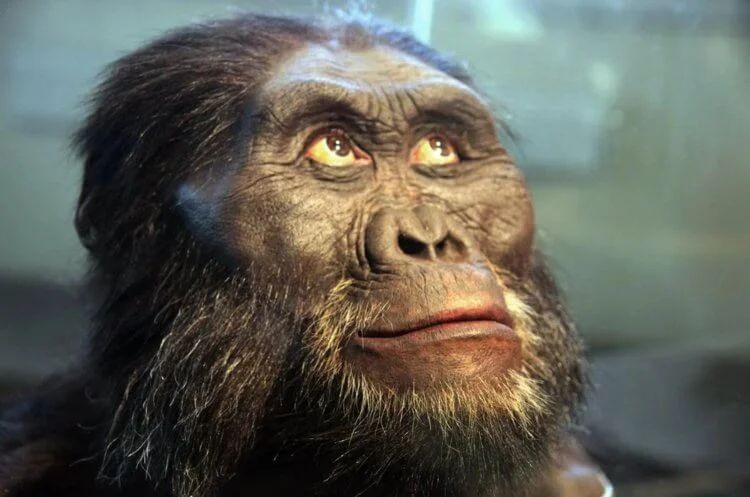 Почему у людей не растет шерсть — самые популярные гипотезы