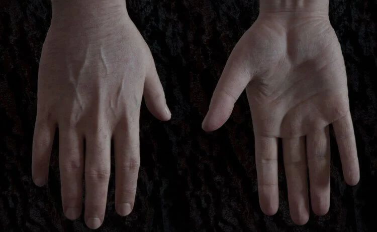 Почему у людей не растет шерсть — самые популярные гипотезы