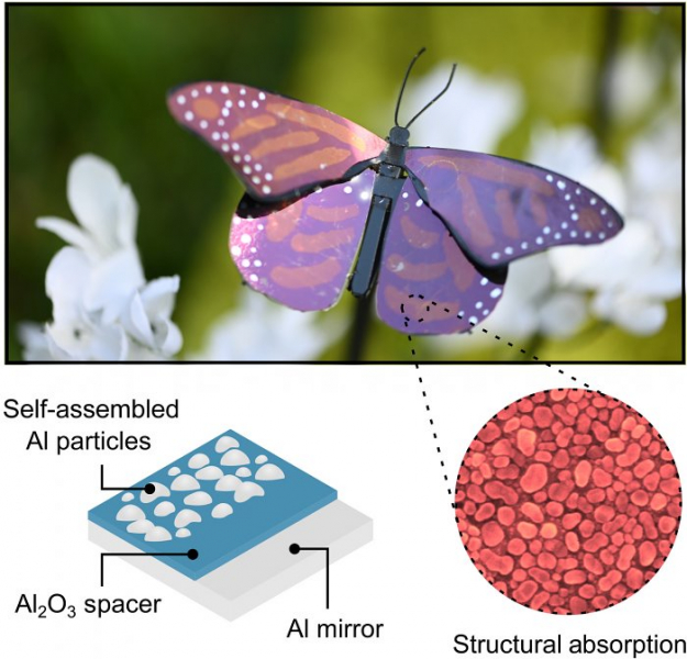 Подсмотренная у бабочек плазмонная краска обещает революцию в индустрии