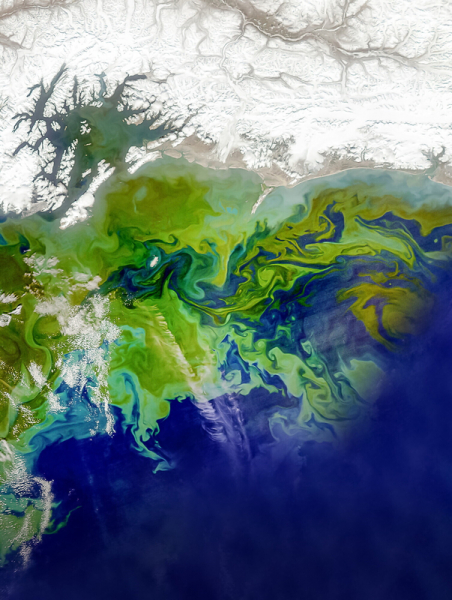 Спутники показали «световое шоу» в прибрежных районах Земли
