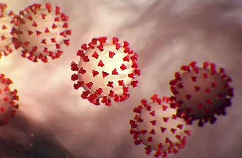 Вирус из вечной мерзлоты возрастом почти 50 тысяч лет оказался опасен для человека