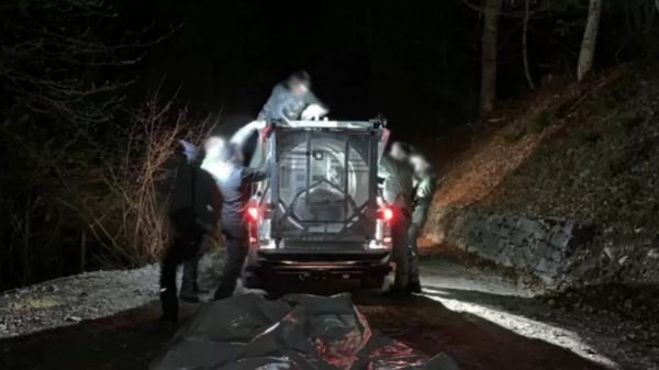 В Италии поймана медведица, убившая человека на пробежке. Местные жители требуют усыпить животное, экологи - против
