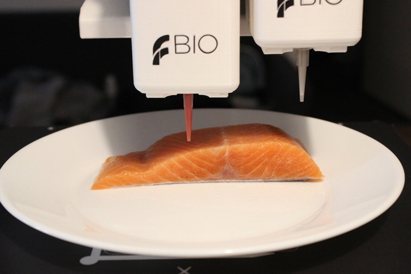 3D-печать рыбы: новый шаг в развитии искусственного мяса от компании Stakeholder Foods