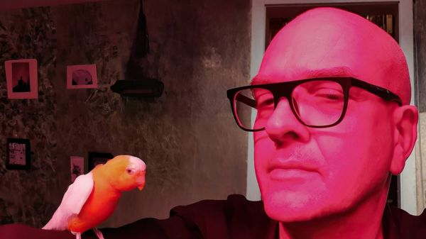 Победитель фотоконкурса Sony отказался от награды: его снимок был создан ИИ