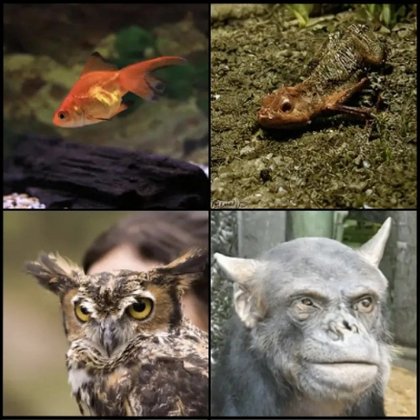 Искусственный интеллект научился читать мысли, изучая снимки мозга