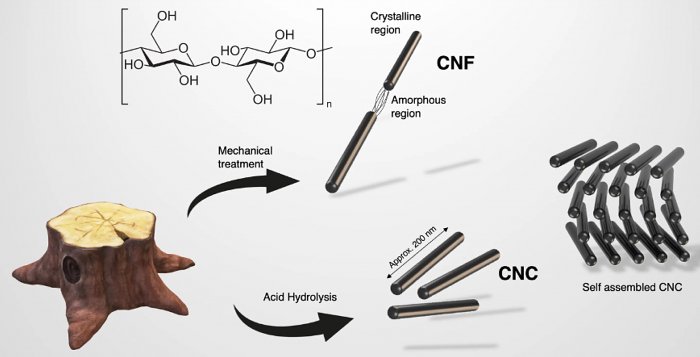 Израильские ученые разработали защитный нано-спрей против комаров на основе целлюлозы