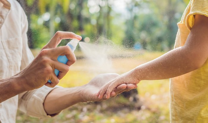 Израильские ученые разработали защитный нано-спрей против комаров на основе целлюлозы