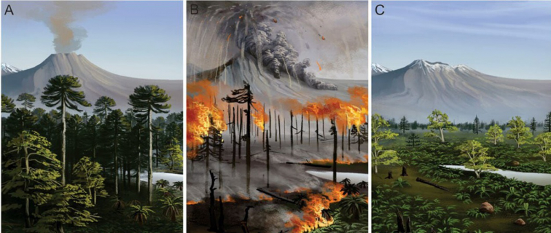 Как лесные пожары влияли на Антарктиду 75 миллионов лет назад