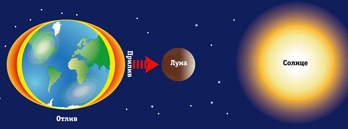 Как возникают приливы и отливы на Земле?