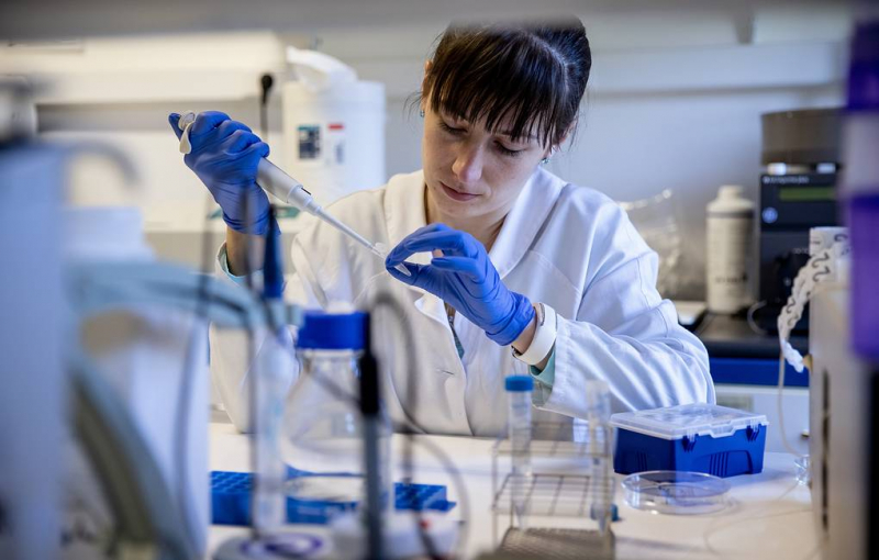 Раскрыта роль "зомби" клеток в процессе регенерации