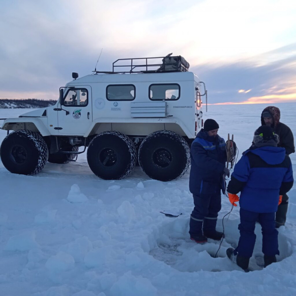 Российские экологи предупредили о загрязнении Оби в связи с глобальным потеплением