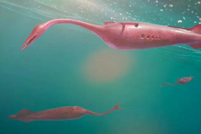 Туллимонстр: загадочное существо океанов 300 миллионов лет назад