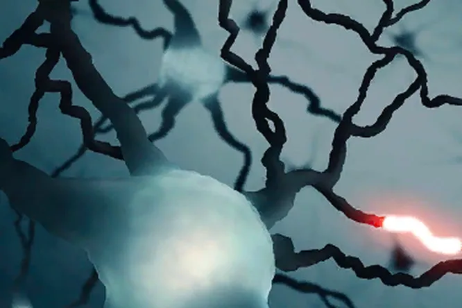 Ученые в недоумении: в человеческом мозге нашли уникальный сигнал