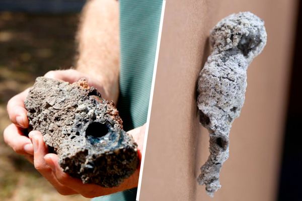 Удар молнии в дерево образовал «космический» фосфит