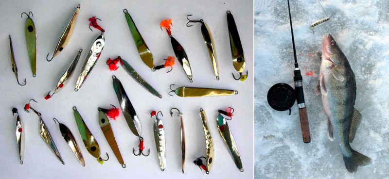 Зимние блесны: виды, отличия, рекомендации