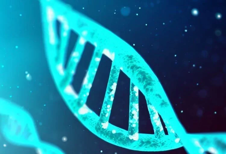 Давно забытый антибиотик может стать спасением от супербактерий