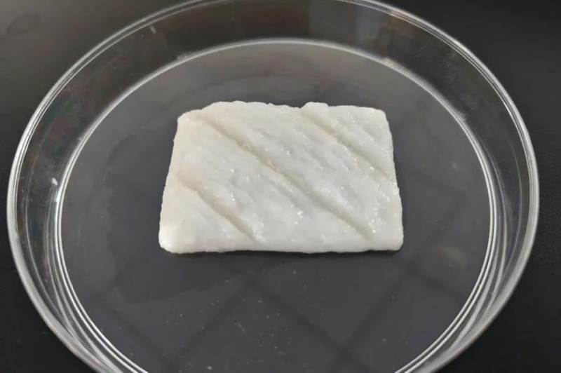 Исскуственное рыбное филе: новый шаг в решении проблемы истощения запасов рыбы