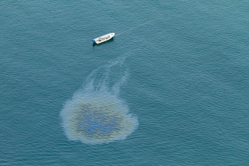 Как почвенные микроорганизмы помогают бороться с разливами дизельного топлива в условиях вечной мерзлоты?