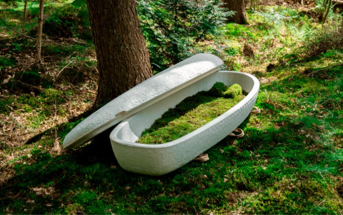 Саркофаги из грибов станут экологичной альтернативой деревянным гробам