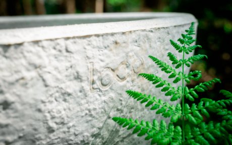 Саркофаги из грибов станут экологичной альтернативой деревянным гробам